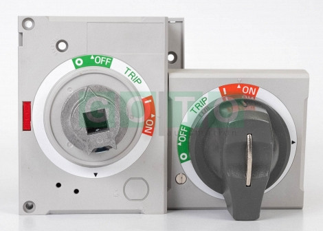 EH2-S, TS250 Rotary handle for circuit breakers