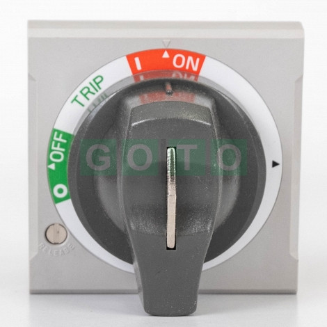 EH2-S, TS250 Rotary handle for circuit breakers